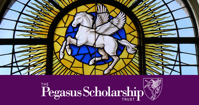 PegasusGraphic_700x370px.jpg
