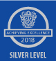 2018 Achieving Excellence web badge
