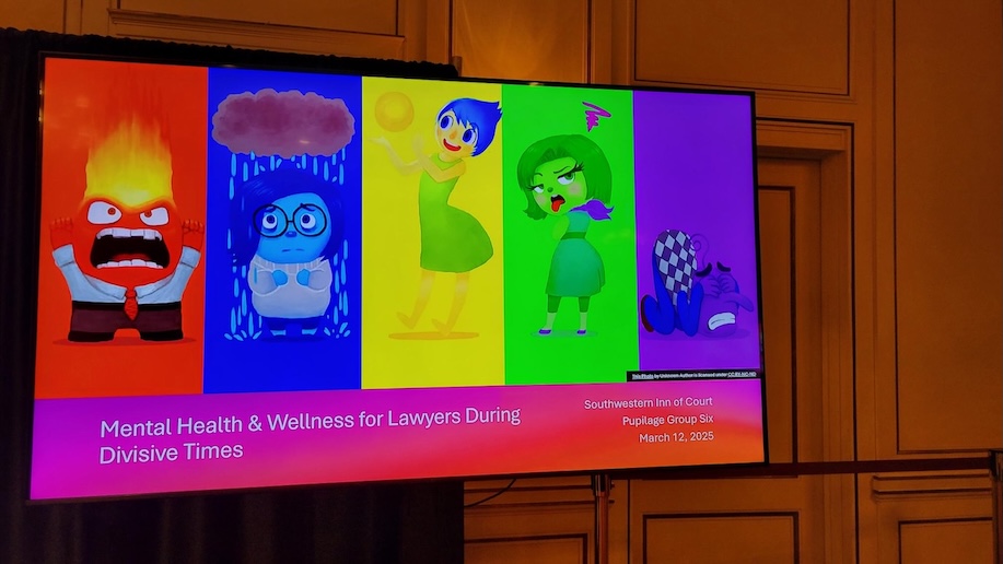 Mental Health & Wellness for Lawyers During Divisive Times Slide